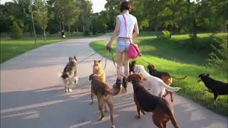 Thumbnail: Pet Business Goldmine 🐶 Portugal's Next Big Thing! 🇵🇹