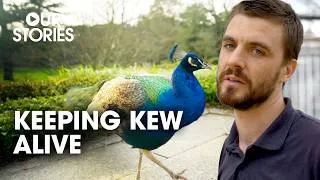 Thumbnail: The Gardeners Behind Kew Gardens | E2 | Our Stories