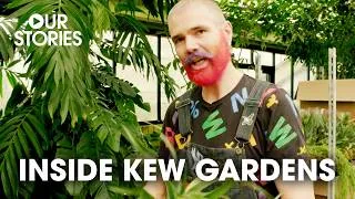 Thumbnail: Britain's Most Famous Gardens | Kew Gardens Season by Season S1 E1| Our Stories