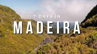 Thumbnail: 7 Days in Madeira Without a Car: Our Travel Itinerary