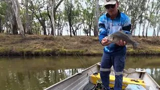 Thumbnail: Fishing Balonne and Condamine rivers boat and land base fishing 