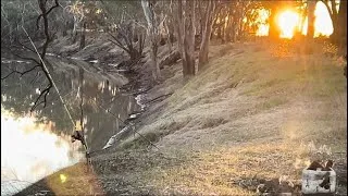 Thumbnail: Fishing and camping, catch and cook multiple freshwater species delicious food 