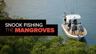 Thumbnail: Snook Fishing the Mangroves | Treasure Coast Inshore Action