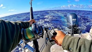 Thumbnail: SOLO TUNA TRIP 20 miles Offshore | catch and Cook