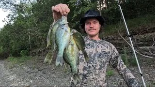 Thumbnail: I Caught Bluegills… Then Made THIS