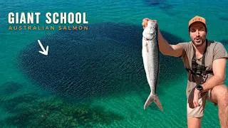 Thumbnail: I Fished Solo On THIS Iconic Sydney beach… Catch and Cook