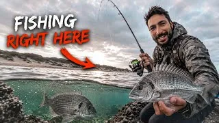 Thumbnail: Not leaving this rock ledge until I catch a fish... No bait allowed