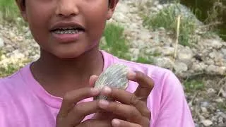 Thumbnail: Scallop Fossil in a Texas Creek