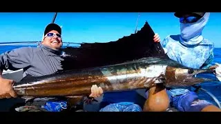 Thumbnail: Sailfish and Jack Crevalle fishing in Puerto Vallarta, Mexico, with the crew from High Tides Fishing