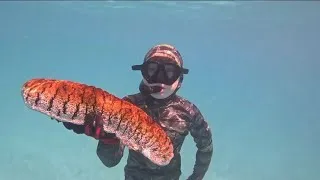 Thumbnail: 3 days camping fishing in tropical jungle of palau camp