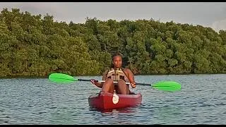 Thumbnail: Scenic 4mi Kayak Tour in Mexico | Lagoons, Wildlife, & Mangroves