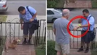 Thumbnail: For 5 years dog greets mailman with tennis ball, until one day his owner came out holding it instead