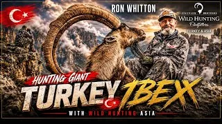 Thumbnail: Hunting 52” Bezoar Ibex in Turkey | Ron Whitton Hunts with Wild Hunting Asia