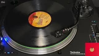 Thumbnail: What Am I Here For? (NDATL DISTINCTIVE Vocal Remix) - The Dangerfeel Newbies (2015 | 4K Vinyl)