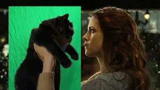 Thumbnail: Twilight with a Cat (Behind the Scenes)