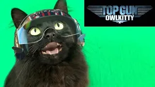 Thumbnail: Top Gun with a Cat (Behind the Scenes)