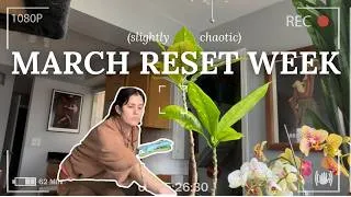 Thumbnail: I Tried a Calm Analog Week… but Everything Went Wrong | Realistic Mom Reset Vlog