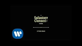 Thumbnail: Salvatore Ganacci  - Horse (Cityzen Remix) [Official Audio]