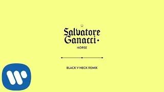 Thumbnail: Salvatore Ganacci  - Horse (Black V Neck Remix) [Official Audio]