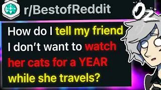 Thumbnail: r/BestOf How To Tell My Friend I Won't Watch Her Cats For a YEAR?