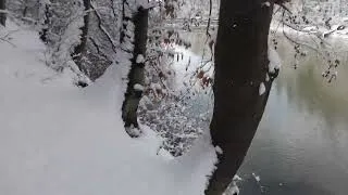Thumbnail: A walk through the snow-covered Belgrade Forest, Istanbul, near Topuzlu Dam