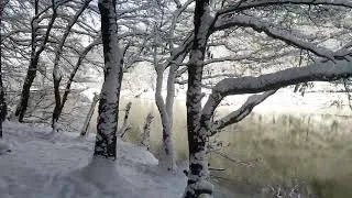 Thumbnail: A walk through the snow-covered Belgrad Forest, Istanbul