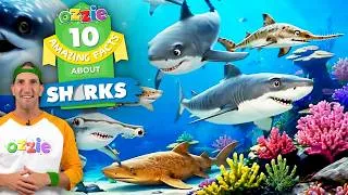 Thumbnail: 10 Amazing Shark Facts Every Kid Should Know! 🦈 Fun Shark Facts with Ozzie