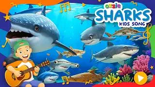 Thumbnail: 10 Amazing Shark Facts for Kids! 🦈 Better Than Baby Shark?! | Fun Shark Song with Ozzie