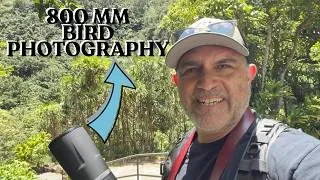 Thumbnail: Bird Photography on the Canon R6 Plus 800 MM