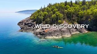 Thumbnail: This Is Wild Discovery | New Season Premieres Sunday at 5 PM