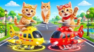 Thumbnail: Mama Cat Trims Fur on the Farm and Makes Tiger Hat For Kittens At Home🐾🎩🐯