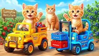 Thumbnail: Mama Cat Trims Fur on the Farm and Makes Tiger Hat For Kittens At Home🐾🎩🐯