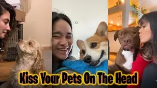 Thumbnail: Kiss Your Pet On The Head And See Their Reaction Tiktok (Kiss your pet on the head challenge)
