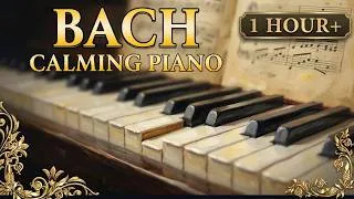 Thumbnail: Bach - [Relax] Calming Classical Piano Music for Stress Relief | Best Masterpieces