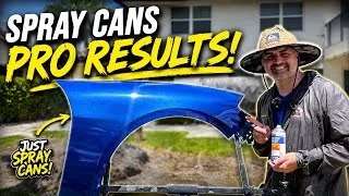 Thumbnail: DIY Backyard Painting With Only Spray Cans 