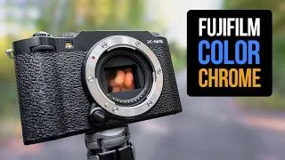 Thumbnail: Fujifilm Color Chrome Effect and FX Blue, Explained
