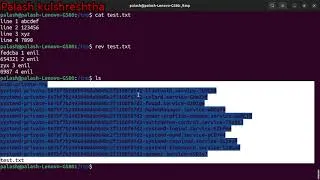 Thumbnail: how to reverse a string and how to reverse the order of lines in bash linux