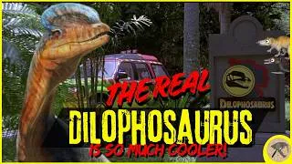 Thumbnail: The REAL Dilophosaurus is SO MUCH COOLER!