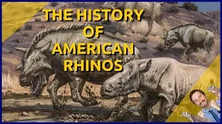 Thumbnail: The History of American Rhinos