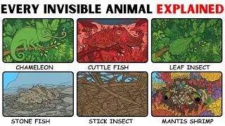 Thumbnail: Every Invisible Animal | Explained in 11 minutes