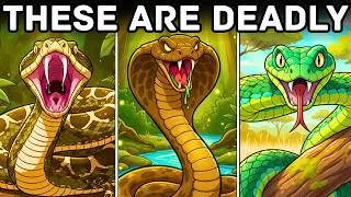 Thumbnail: 8 Venomous Snakes That Can Kill You | Explained in 13 minutes
