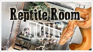 Thumbnail: Reptile Room Tour 2020