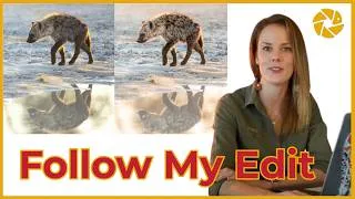 Thumbnail: Follow My Edit: From Flat to Golden in Lightroom