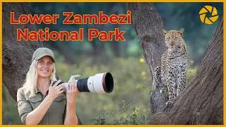 Thumbnail: Lower Zambezi: Why Every Photographer Needs to Visit