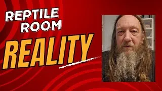 Thumbnail: Reptile room reality