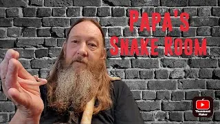 Thumbnail: Papa's snake room introduction.