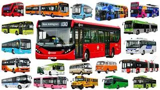 Thumbnail: Bus Videos For Kids | Learn Different Types of Buses | Vehicle Names in English