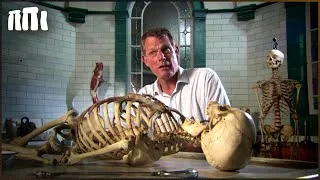 Thumbnail: The Shocking Truth Behind Real Vampires - Myths, Science and Discoveries