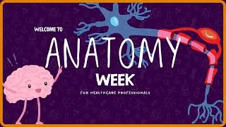 Thumbnail: Welcome to Anatomy Week - Scottish Ambulance Service VQ Technician