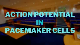 Thumbnail: Action Potential in Pacemaker Cells